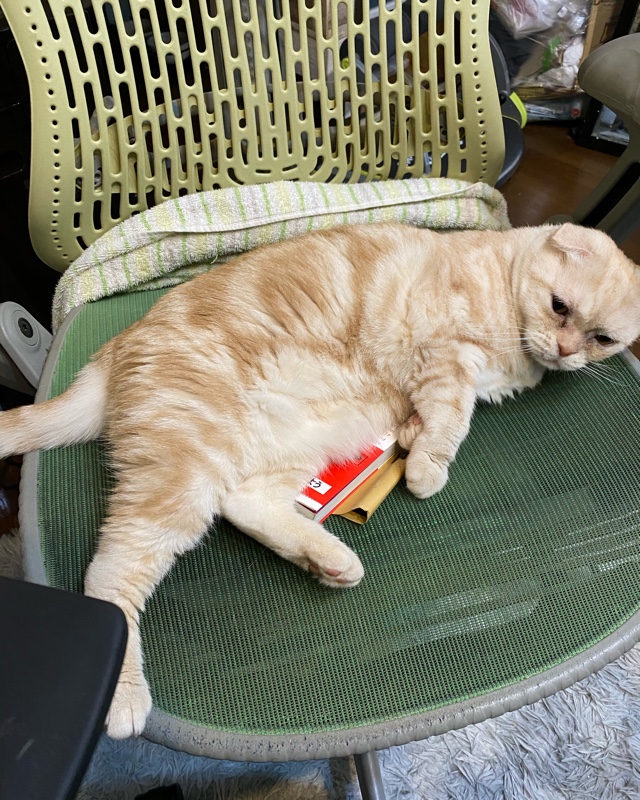 アパホテルさんのレビュー画像