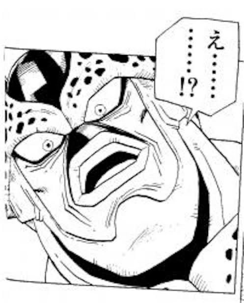 レビュー画像2