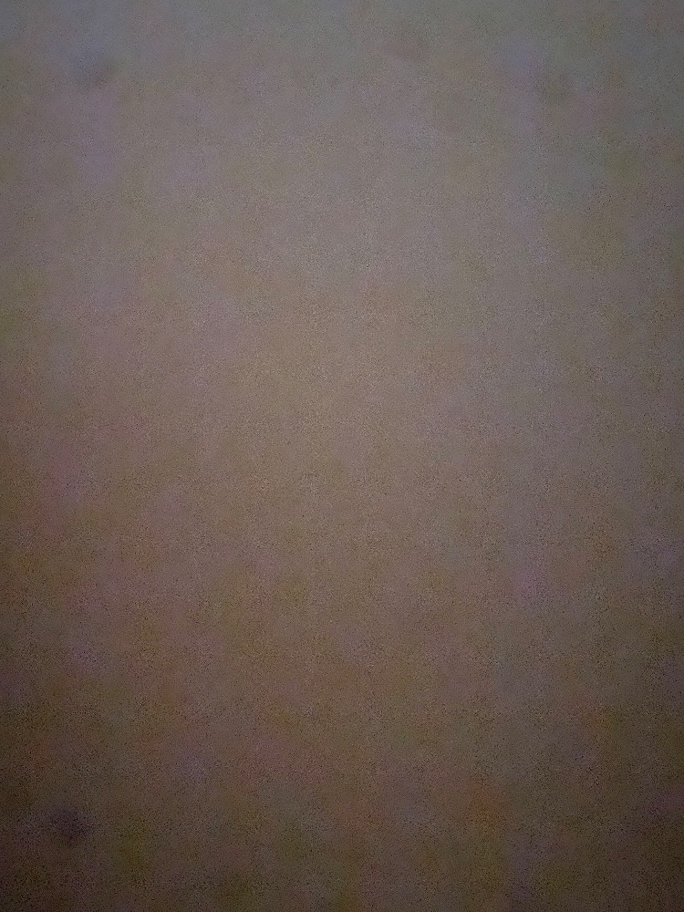 三上麗子さんのレビュー画像